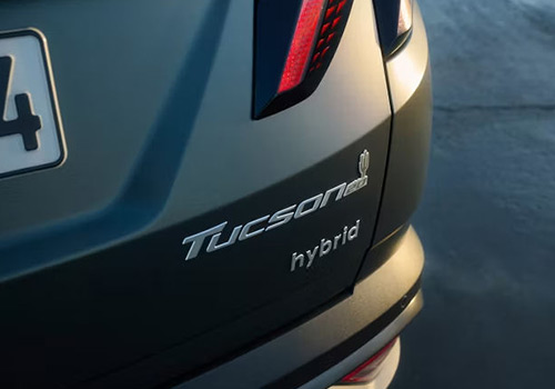 Ikonický odznak k 20. výročí, s kaktusem saguaro, na zadních dveřích Hyundai TUCSON