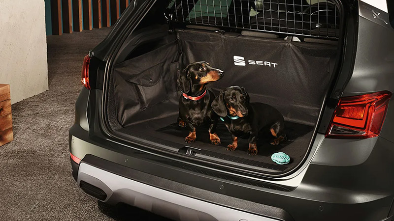 Otevřený kufr vozu SEAT Arona ve kterém jsou 2 jezevčíci