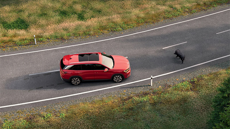 Škoda Kodiaq Sportline Škoda Kodiaq Sportline